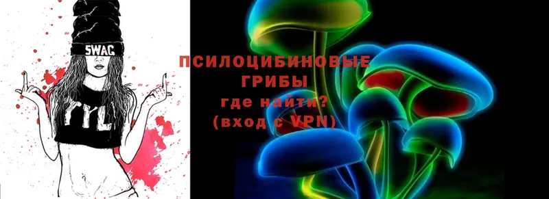 Галлюциногенные грибы Psilocybe  Рубцовск 